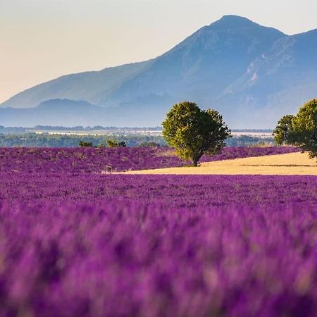 Joli T2 Jardin, Entre Mer/Verdon ساليرنيس المظهر الخارجي الصورة