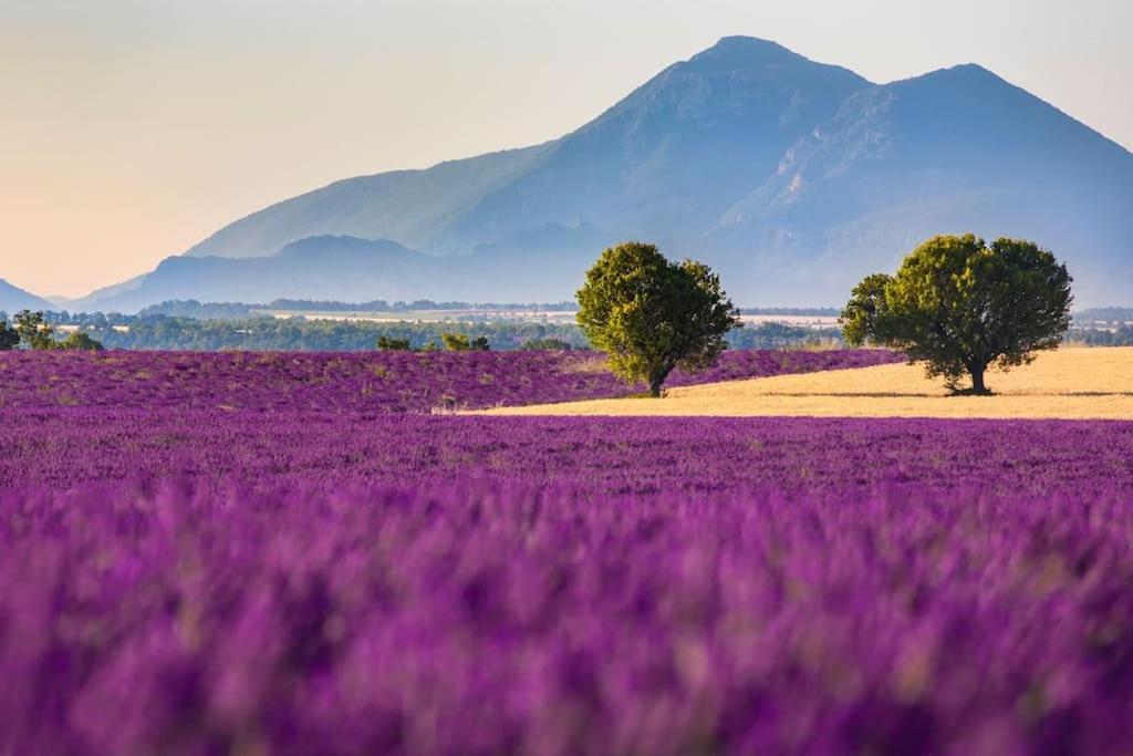 Joli T2 Jardin, Entre Mer/Verdon ساليرنيس المظهر الخارجي الصورة